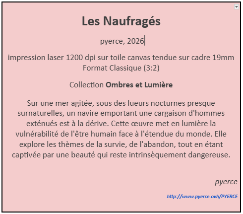 Cartel de Les Naufragés